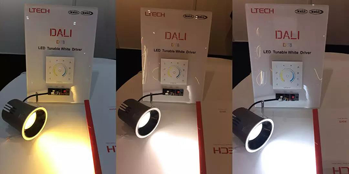 DALI DT8色溫體驗