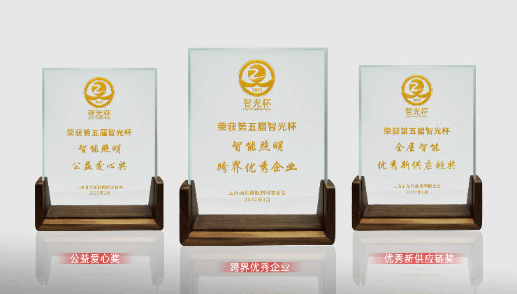 第六屆物聯網照明大會雷特獎杯合影